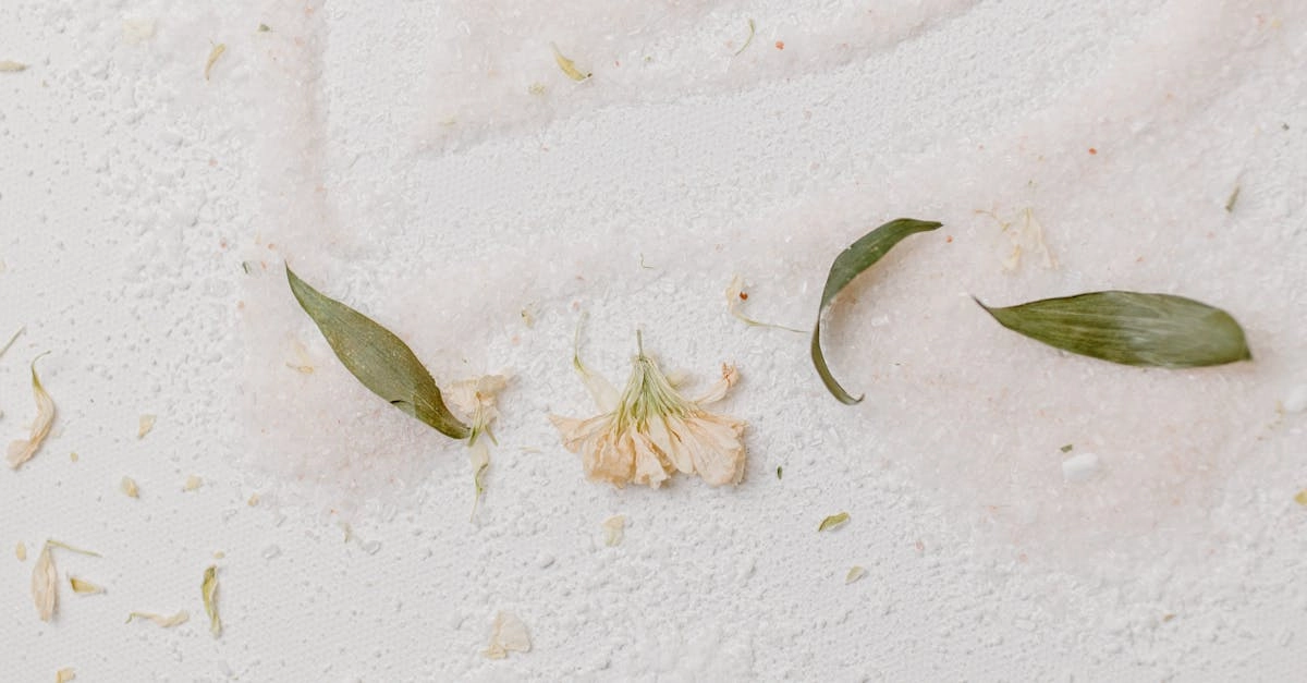 Художественное оформление игрового автомата Sweet Bonanza